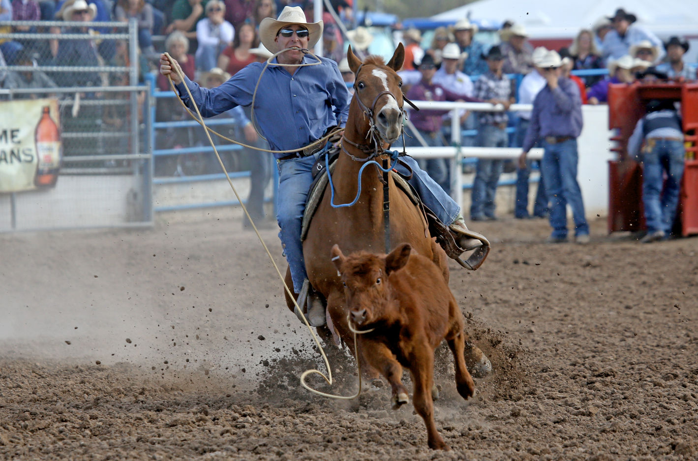 La Fiesta de los Vaqueros